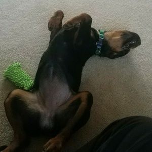 Meet your Posher, Ian